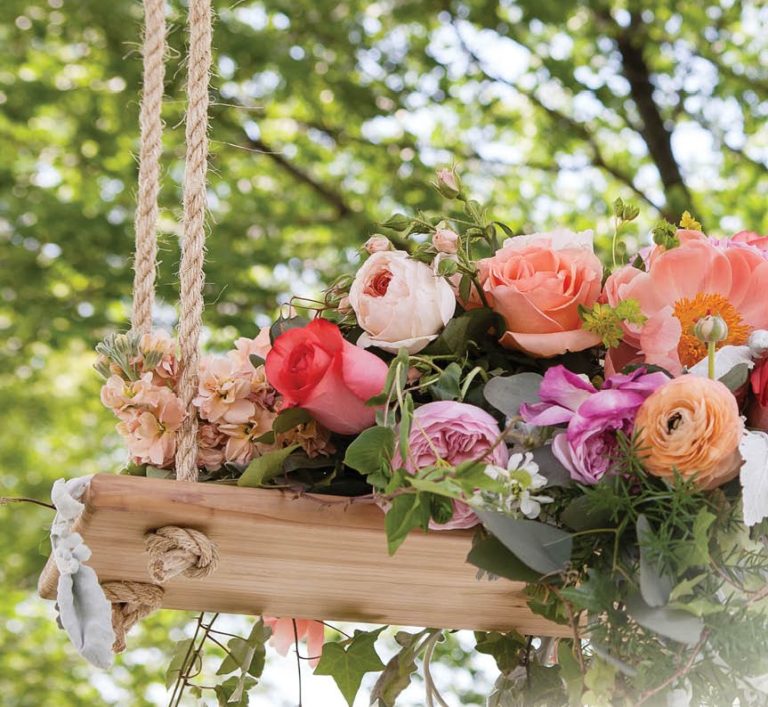 compressed 9 768x707